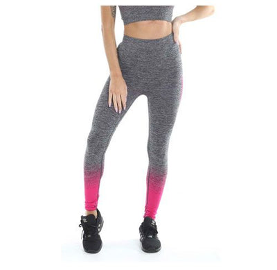 GOLD'S GYM LADIES SEAMLESS LEGGING - PINK/CHARCOAL